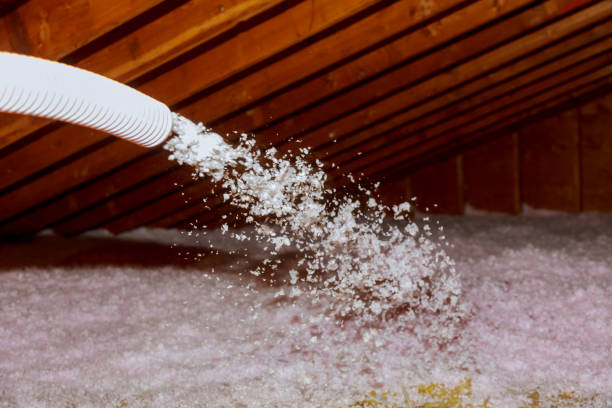 Best Fiberglass Insulation in Pine Hills, FL