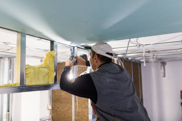 Best Blown-in Insulation in Pine Hills, FL