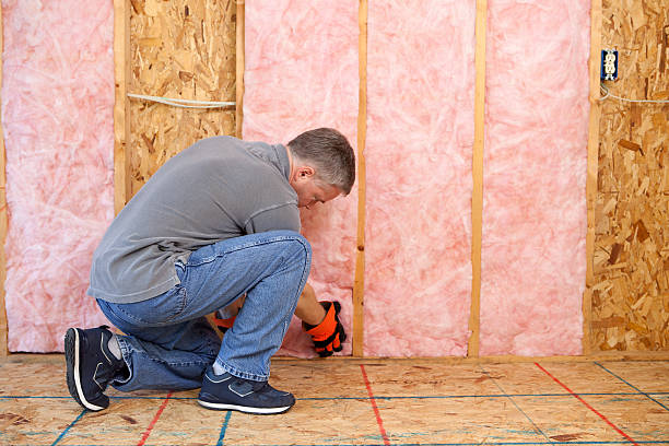 Best Blown-in Insulation in Pine Hills, FL